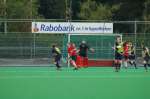 Helmond080921050002_small.jpg (3946 Byte)