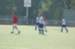 Weert080928010023_small.jpg (3857 Byte)