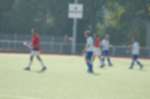 Weert080928010024_small.jpg (3932 Byte)