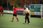 Venlo081109050202_small.jpg (3946 Byte)