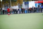 Venlo081109060166_small.jpg (3946 Byte)