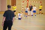 Heeze090111020110_small.jpg (3946 Byte)