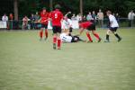 Heeze090607010022_small.jpg (3946 Byte)