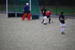 Heiveld090920040216_small.jpg (3932 Byte)