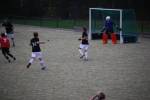 Heiveld090920040218_small.jpg (3946 Byte)