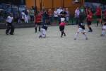 Heiveld090920040282_small.jpg (3946 Byte)