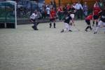 Heiveld090920040284_small.jpg (3932 Byte)