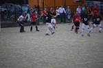 Heiveld090920040285_small.jpg (3698 Byte)