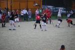 Heiveld090920040287_small.jpg (3857 Byte)