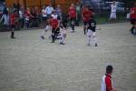 Heiveld090920040289_small.jpg (3698 Byte)