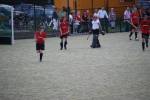 Heiveld090920040291_small.jpg (3857 Byte)