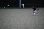 Heiveld090920040301_small.jpg (3698 Byte)