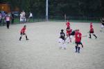 Heiveld090920040328_small.jpg (3932 Byte)