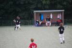 Heiveld090920040383_small.jpg (3857 Byte)