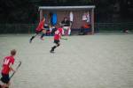 Heiveld090920050012_small.jpg (3932 Byte)