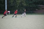 Heiveld090920050014_small.jpg (3946 Byte)