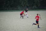 Heiveld090920050018_small.jpg (3946 Byte)