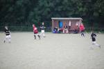 Heiveld090920050031_small.jpg (3857 Byte)