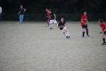 Heiveld090920050079_small.jpg (3857 Byte)