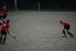 Heiveld090920050122_small.jpg (3946 Byte)