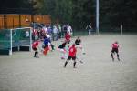 Heiveld090920050124_small.jpg (3932 Byte)