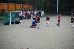 Heiveld090920050107_small.jpg (3857 Byte)