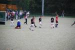 Heiveld090920050129_small.jpg (3698 Byte)