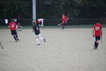 Heiveld090920050137_small.jpg (3698 Byte)