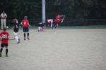 Heiveld090920050138_small.jpg (3946 Byte)