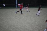 Heiveld090920050143_small.jpg (3857 Byte)