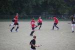 Heiveld090920050148_small.jpg (3932 Byte)