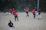 Heiveld090920050151_small.jpg (3857 Byte)