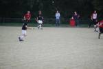 Heiveld090920050207_small.jpg (3857 Byte)