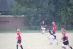 Heiveld090920050222_small.jpg (3946 Byte)