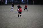 Heiveld090920050284_small.jpg (3932 Byte)