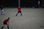 Heiveld090920050348_small.jpg (3932 Byte)