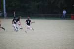 Heiveld090920050354_small.jpg (3946 Byte)