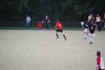 Heiveld090920050364_small.jpg (3932 Byte)