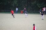 Heiveld090920050365_small.jpg (3698 Byte)