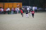 Heiveld090920050368_small.jpg (3932 Byte)