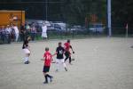 Heiveld090920060025_small.jpg (3698 Byte)