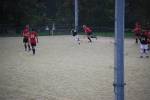 Heiveld090920060042_small.jpg (3946 Byte)