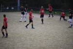 Heiveld090920060073_small.jpg (3698 Byte)