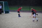 Heiveld090920060116_small.jpg (3932 Byte)