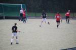 Heiveld090920060152_small.jpg (3932 Byte)