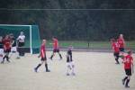 Heiveld090920060157_small.jpg (3698 Byte)