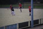 Heiveld090920060159_small.jpg (3857 Byte)