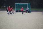 Heiveld090920060178_small.jpg (3946 Byte)