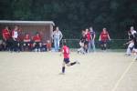 Heiveld090920060237_small.jpg (3698 Byte)