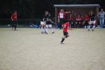 Heiveld090920060240_small.jpg (3932 Byte)